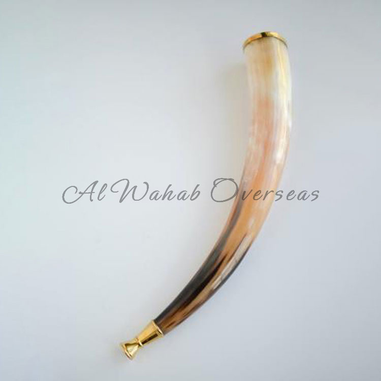 Drinking Horn