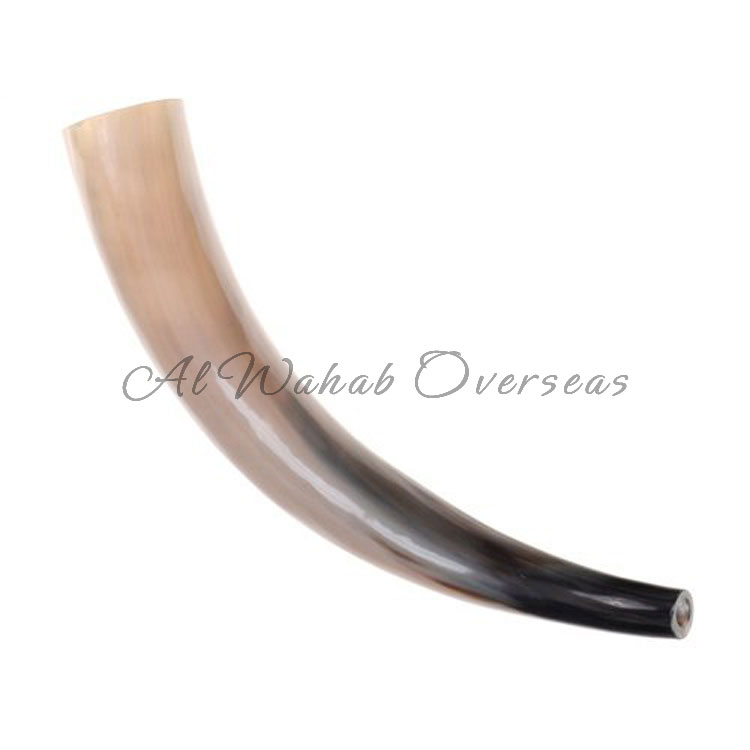 Drinking Horn