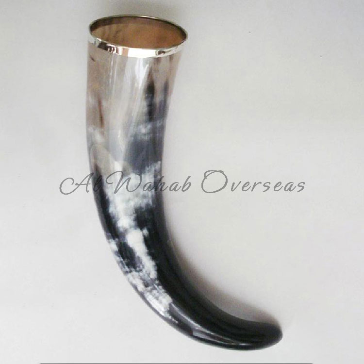 Drinking Horn