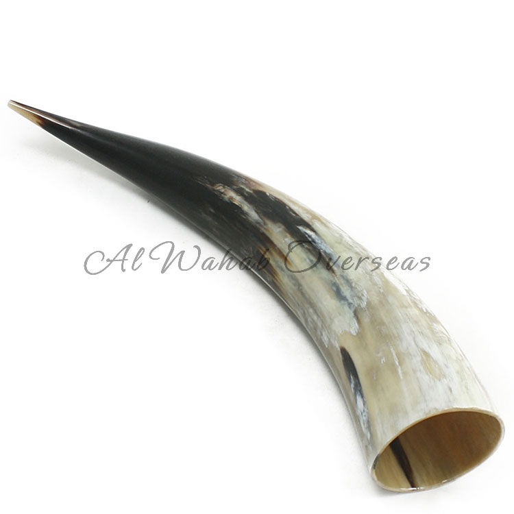 Drinking Horn