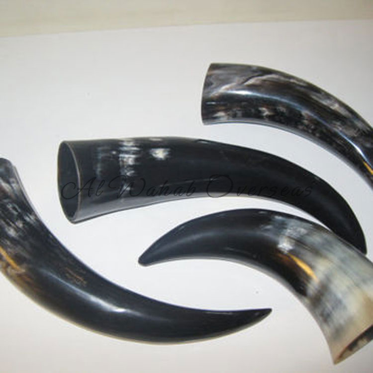 Drinking Horn