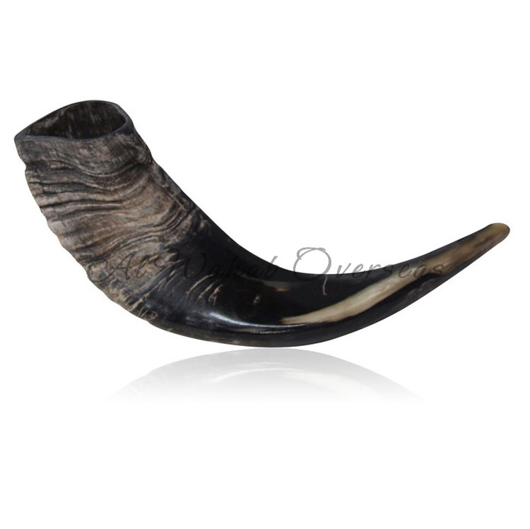 Drinking Horn