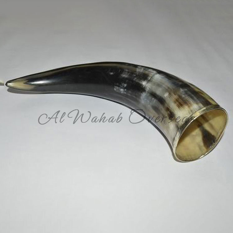 Drinking Horn