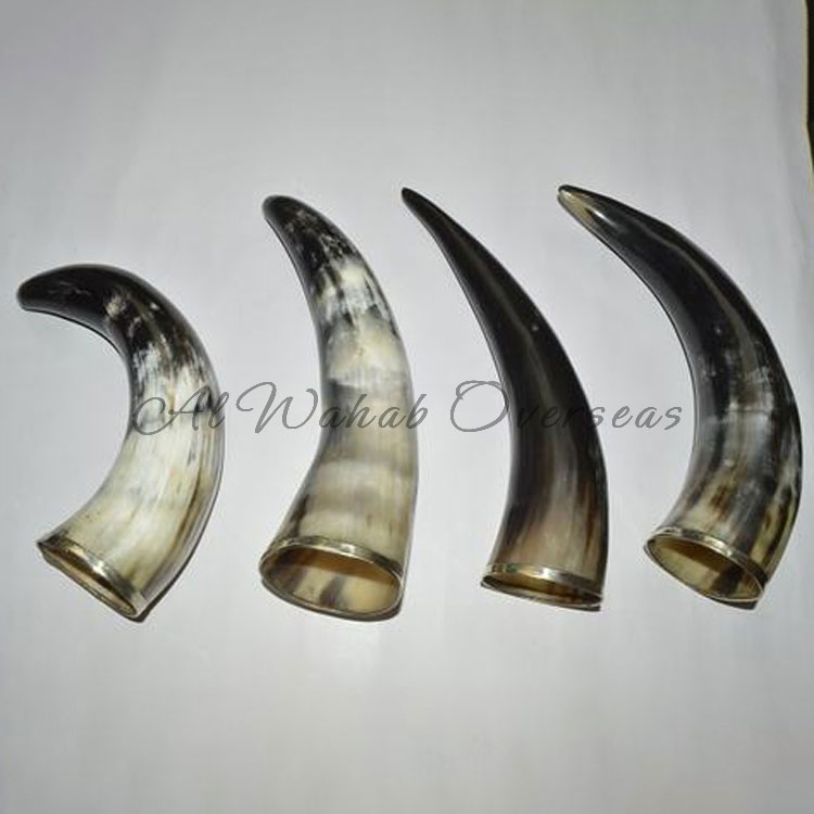 Drinking Horn