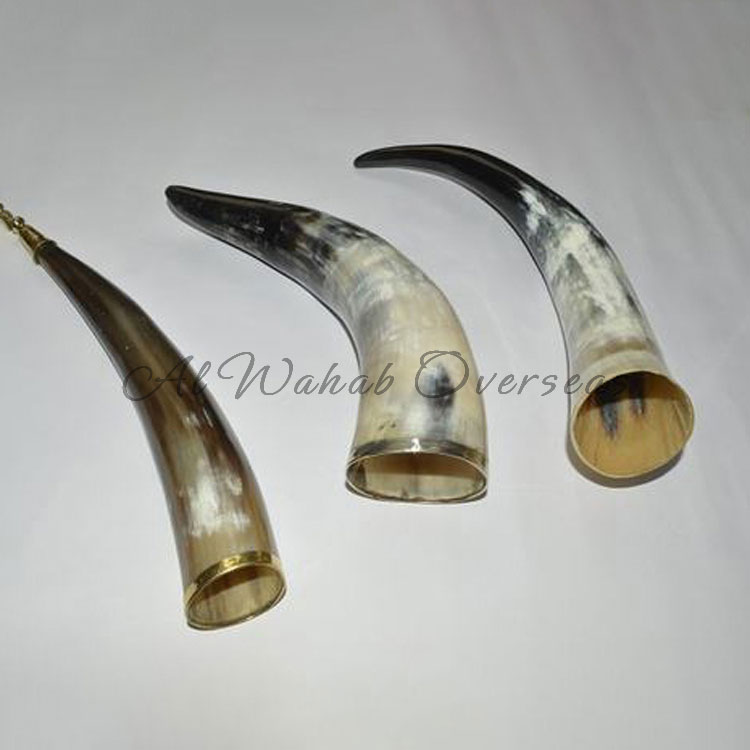 Drinking Horn