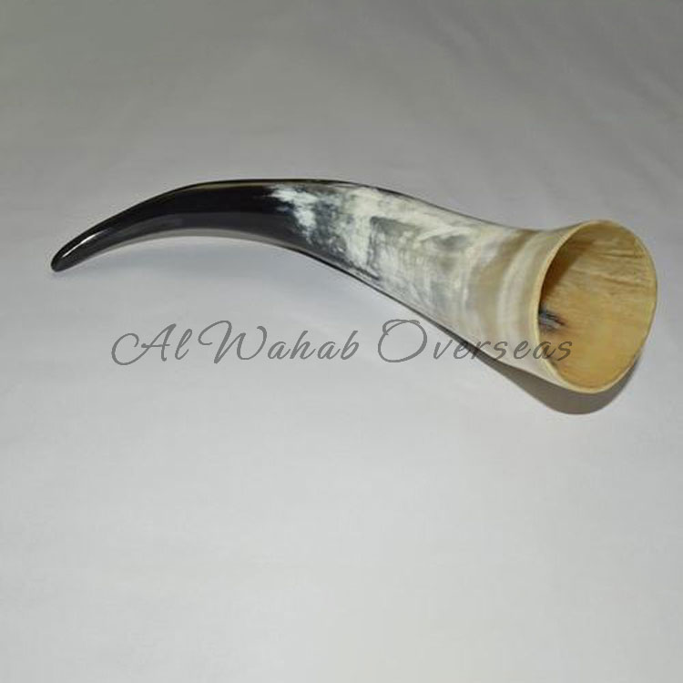 Drinking Horn