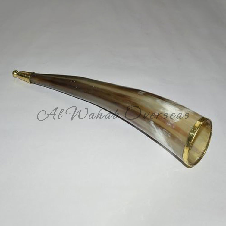 Drinking Horn