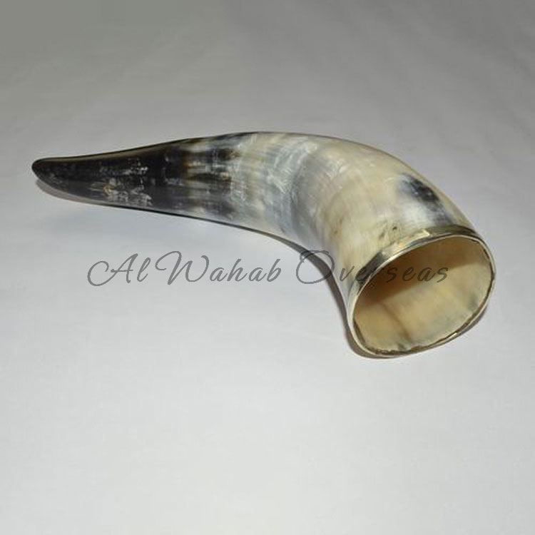 Drinking Horn