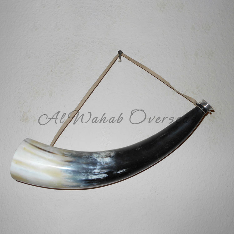 Drinking Horn