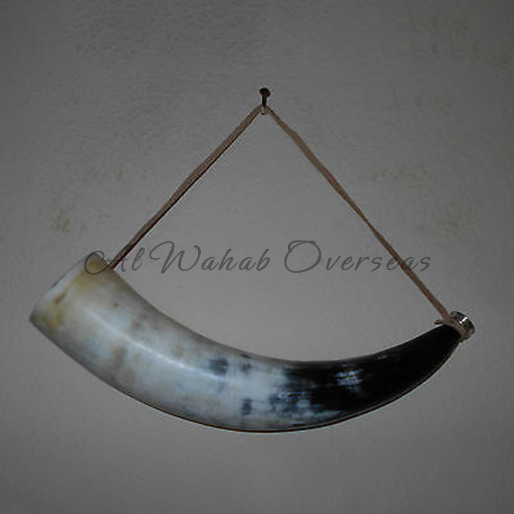 Drinking Horn