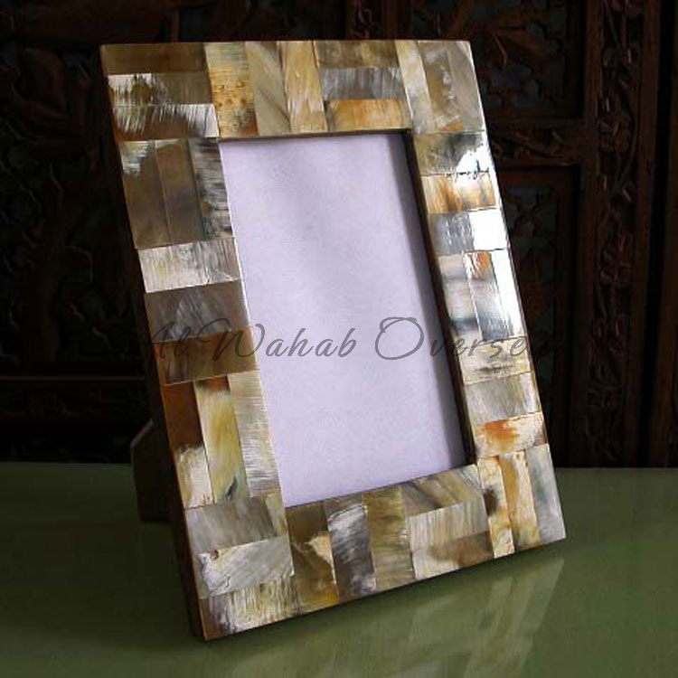 Horn Photo Frames