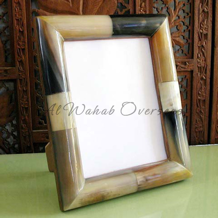 Horn Photo Frames