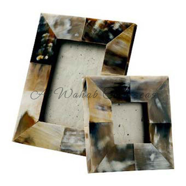 Horn Photo Frames