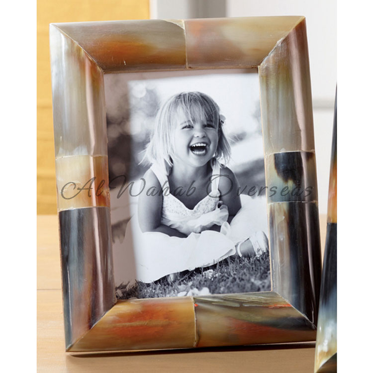 Horn Photo Frames