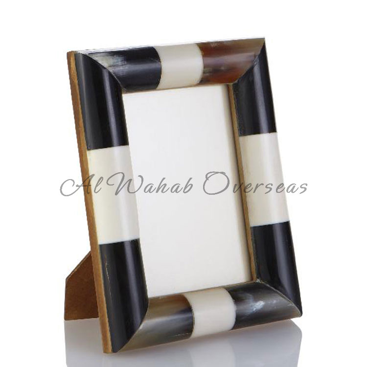 Horn Photo Frames