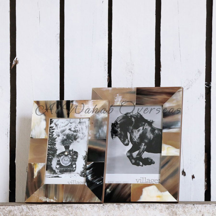 Horn Photo Frames