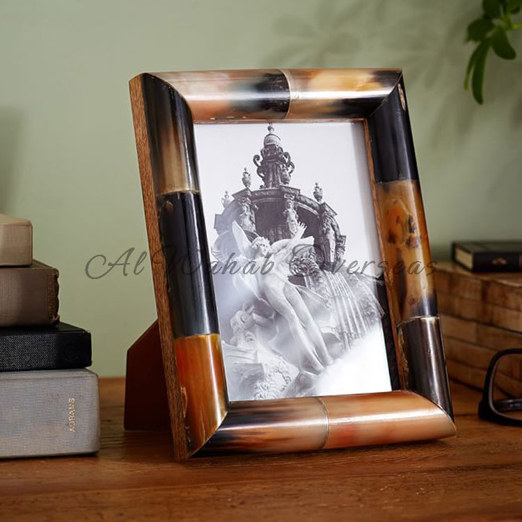 Horn Photo Frames