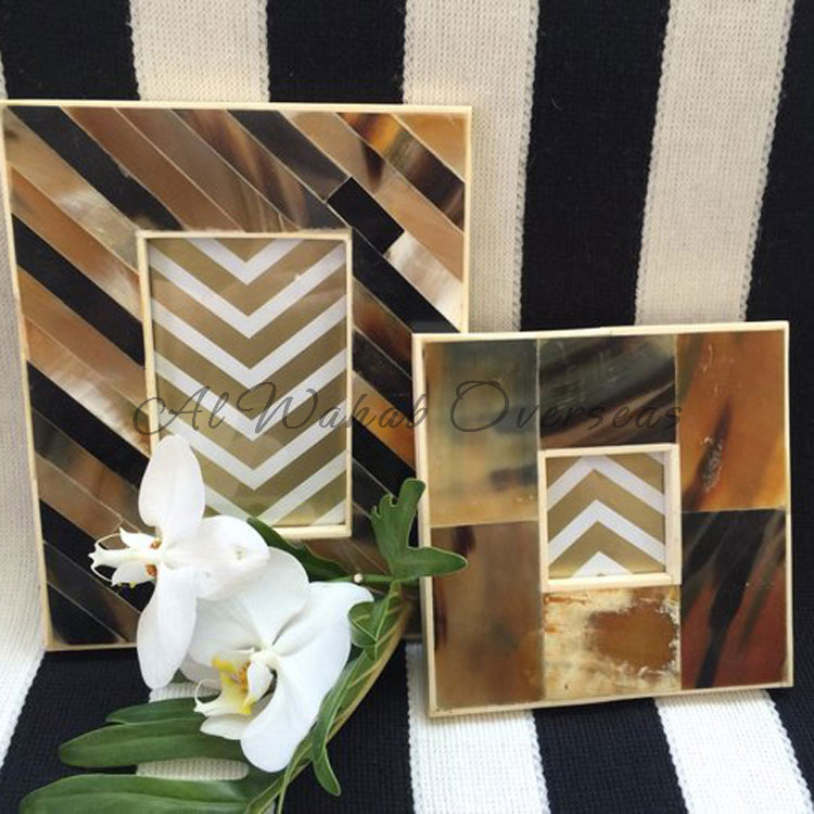 Horn Photo Frames