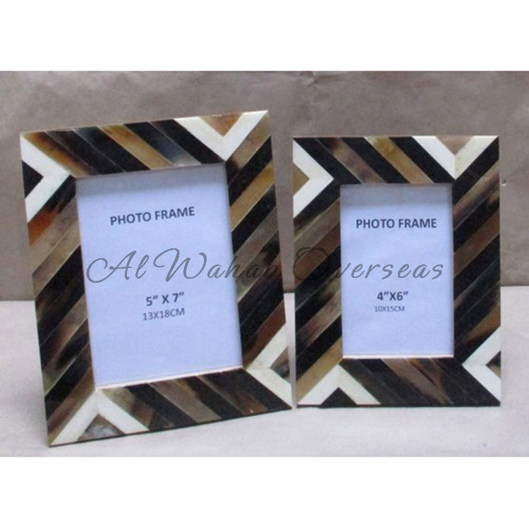 Horn Photo Frames