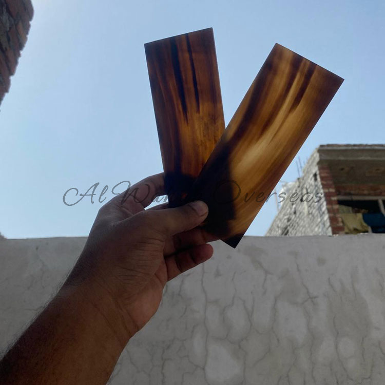 Water Buffalo Horn Plates