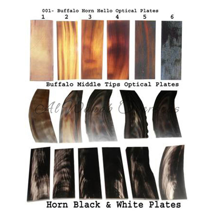 Water Buffalo Horn Plates